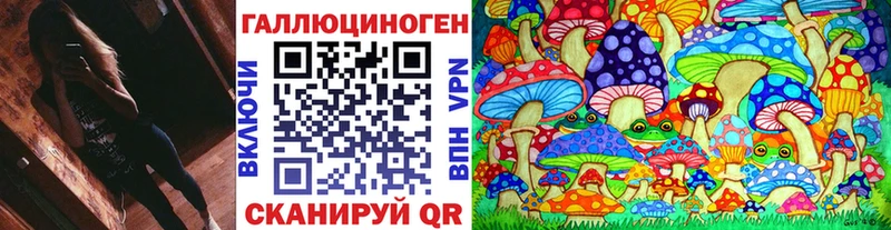 Купить  Вилючинск  Псилоцибиновые грибы мицелий 