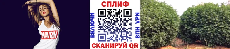 Купить закладки  Вилючинск  Канабис конопля 